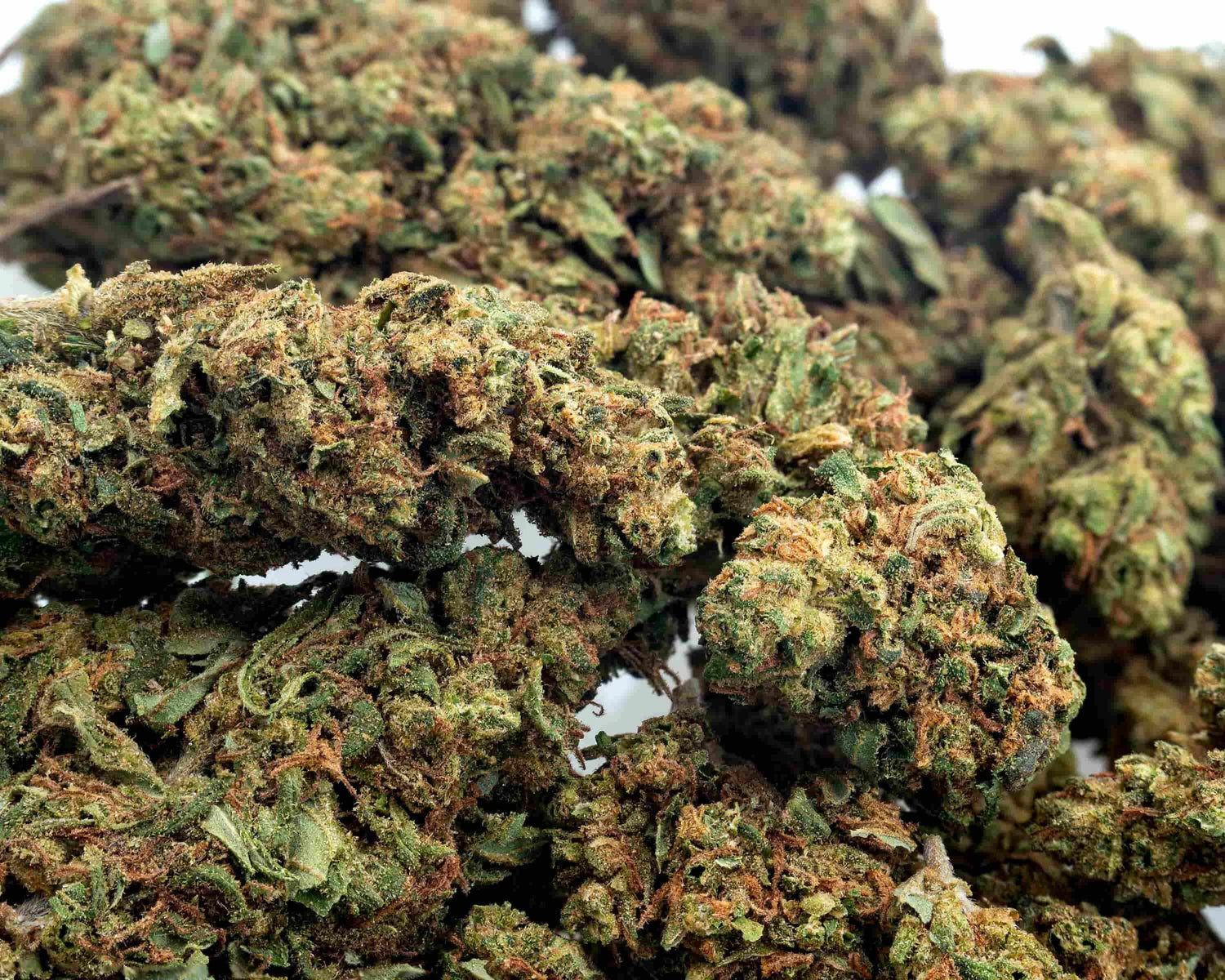 Top Shelf CBD Flower