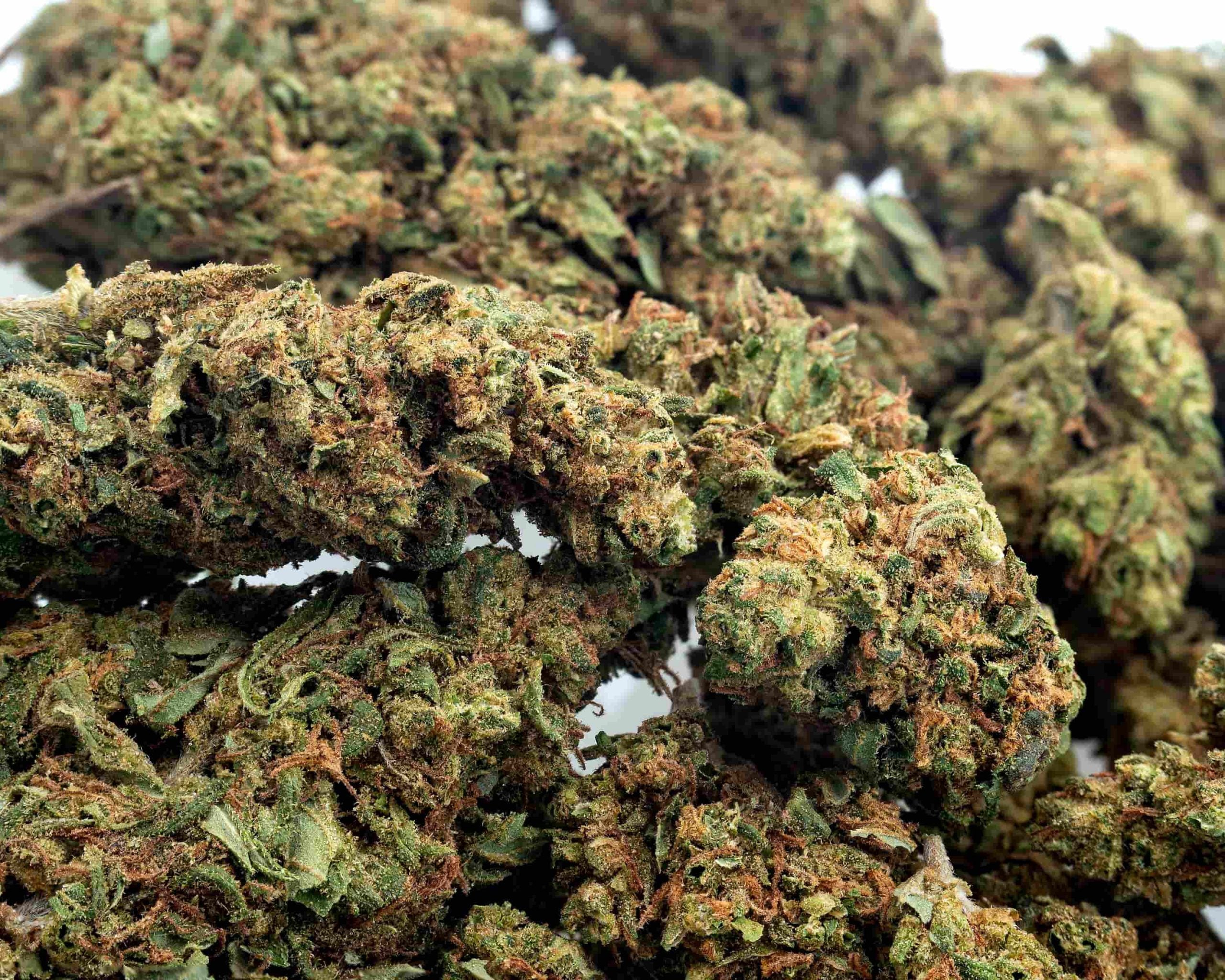 Top Shelf CBD Flower